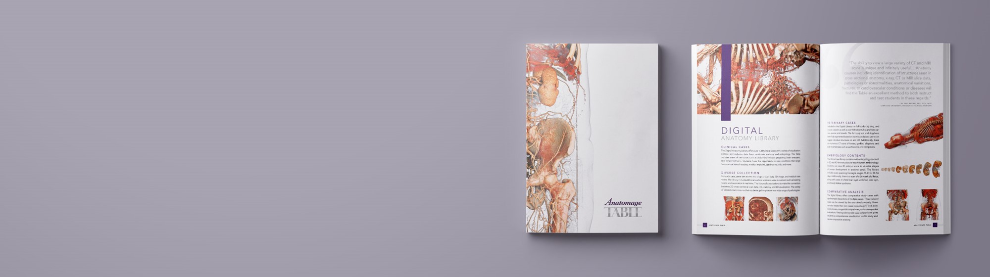 B.SIGN - Progettazione brochure Anatomage
